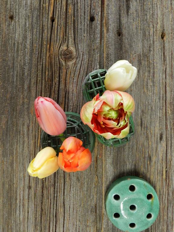 ASSORTED COLOR TULIPS